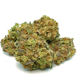 Bruce Banner Marijuana Strain For Sale Online In Columbus Ohio