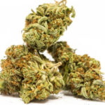 Blue Dream Cannabis Strain For Sale Online In San Francisco California