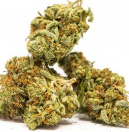 Blue Dream Cannabis Strain For Sale Online In San Francisco California