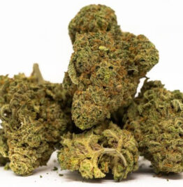 Girl Scout Cookies Marijuana Strain For Sale Online In  Douglas County Colorado