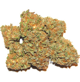 Orange Sherbet Marijuana Strain For Sale Online In  Somerset County New Jersey