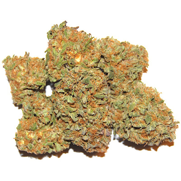 Orange Sherbet Marijuana Strain For Sale Online In  Somerset County New Jersey