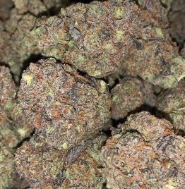 Purchasing Dosido Marijuana Strain Online In Columbus Ohio