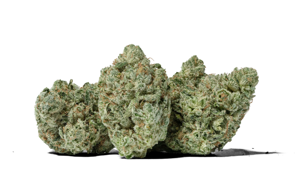 Gorilla Glue Marijuana Strain For Sale Online In  Los Alamos County New Mexico
