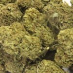 Buying Banana Split Cannabis Strain Online In Brisbane Australia