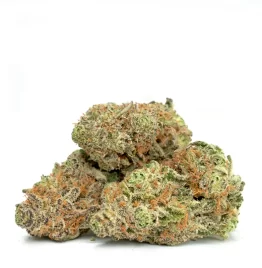 Kaufen Sie die Cannabissorte Tangerine Haze online in Berlin Germany