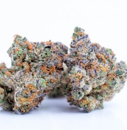 Purchasing Zookies Marijuana Strain Online In Bristol UK