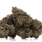 Gushers Marijuana Strain For Sale In Washington D.C.