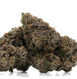 Gushers Marijuana Strain For Sale In Washington D.C.