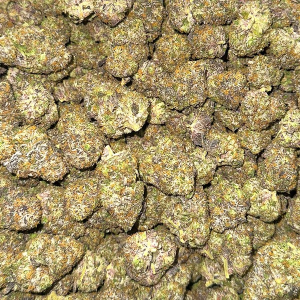 Gushers Marijuana Strain For Sale In Washington D.C.