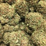 Buying Orange Cookies Marijuana Strain Online In Portland Oregon