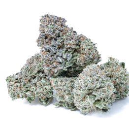 Purchasing Sweet Tea Cookies Marijuana Strain Online In Boston Massachusetts