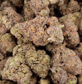 Gary Payton Cookies Marijuana Strain For Sale Online In Los Angeles California