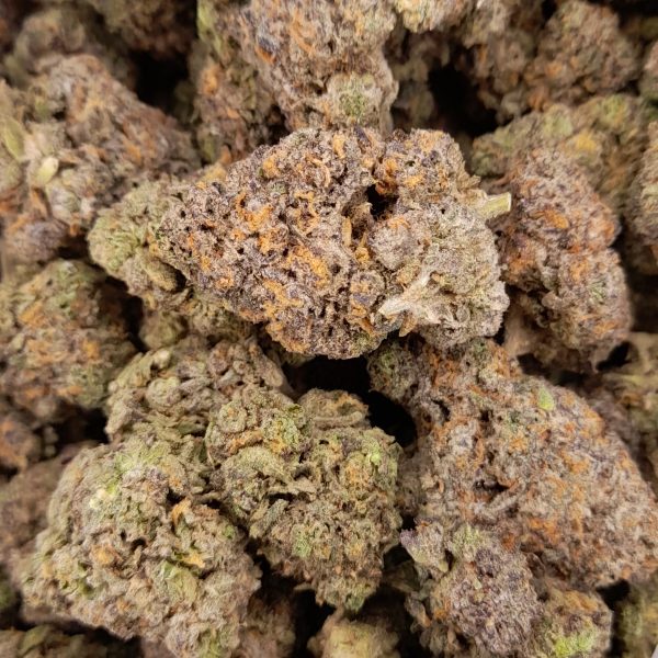 Gary Payton Cookies Marijuana Strain For Sale Online In Los Angeles California