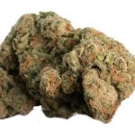 Buy Jager cannabis strain online in Zurich Switzerland