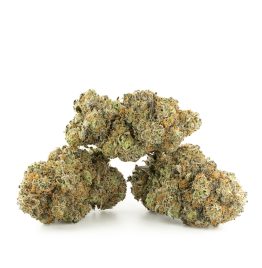 Slurricane cannabis strain for sale in Amsterdam Netherlands