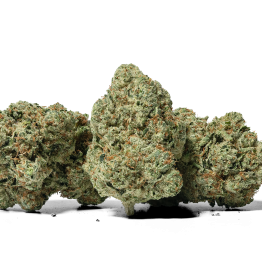 Motorbreath Marijuana Strain For Sale In Perth Australia