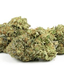 Purchasing Garlic Cookies Cannabis Strain Online In Brisbane Australia
