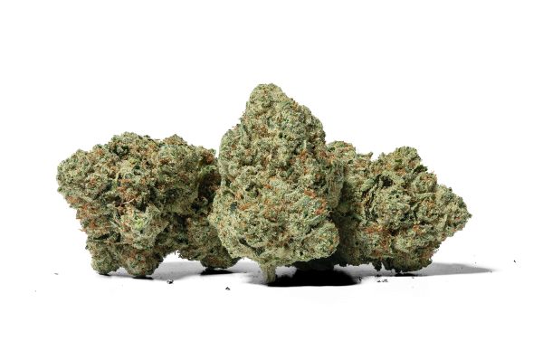 Motorbreath Marijuana Strain For Sale In Perth Australia