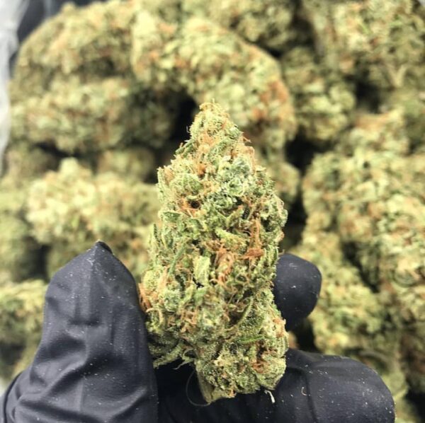 Buy skywalker weed strain, skywalker og strain, skywalker og weed strain leafly, skywalker og leafly strain, USA, UK, Canada, Australia
