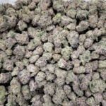 Watermelon Martini Available At Diesel Dispensary