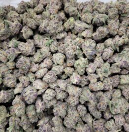 Watermelon Martini Available At Diesel Dispensary